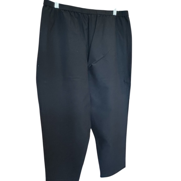 Eileen Fisher Black Pants - Picture 1 of 5